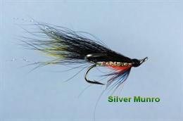 Silver_Munro